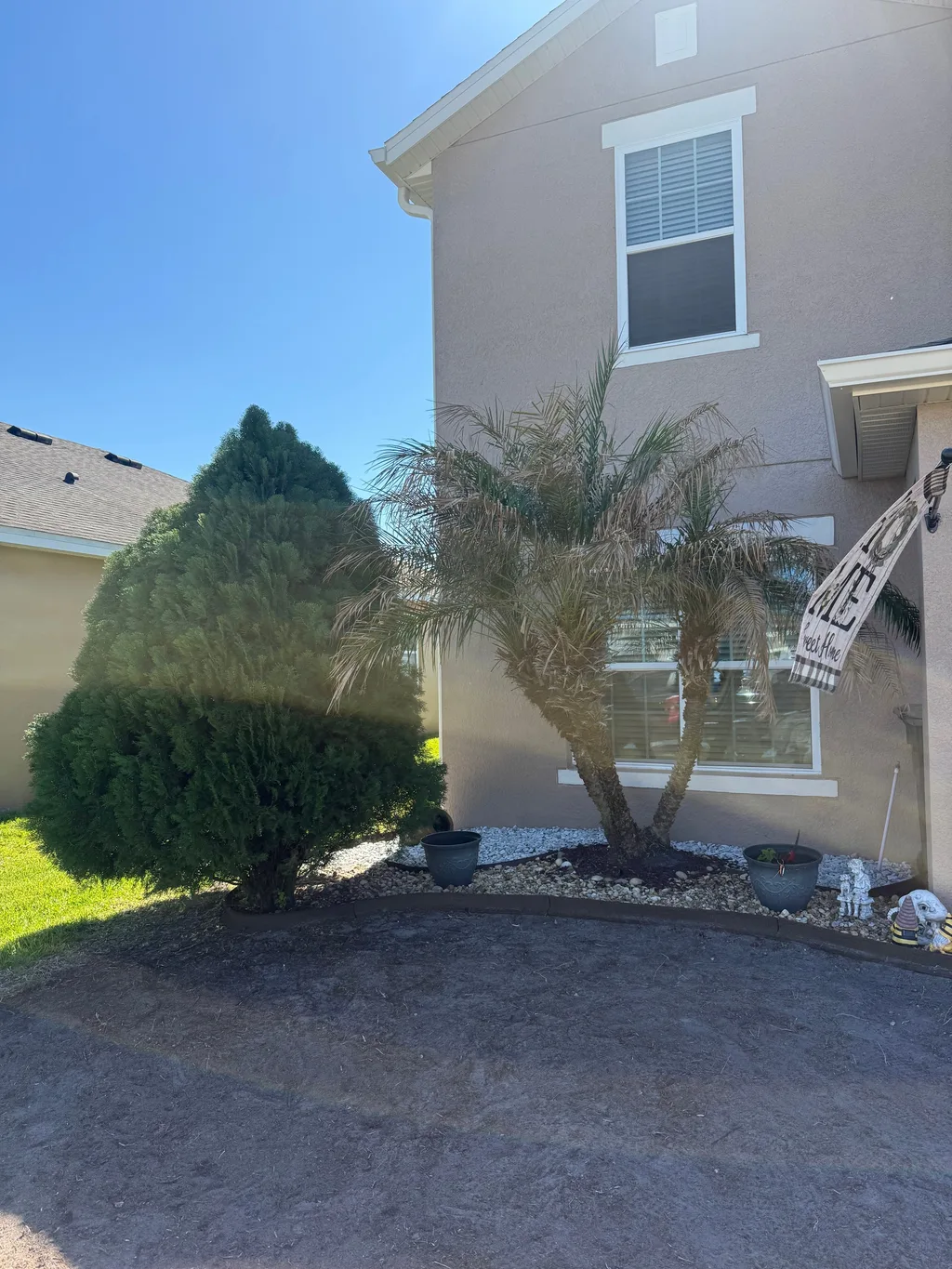 Trimmed shrub and small palm set into dark mulch at the front corner of a home