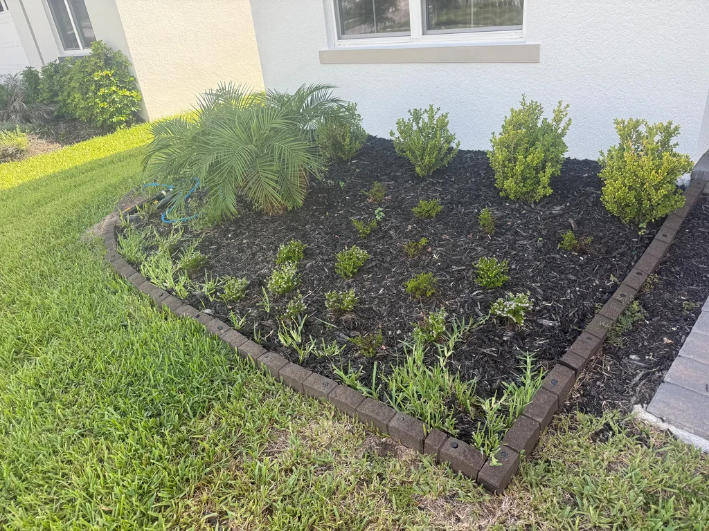 Freshly spread dark mulch filling a bordered planting bed beside a cut lawn