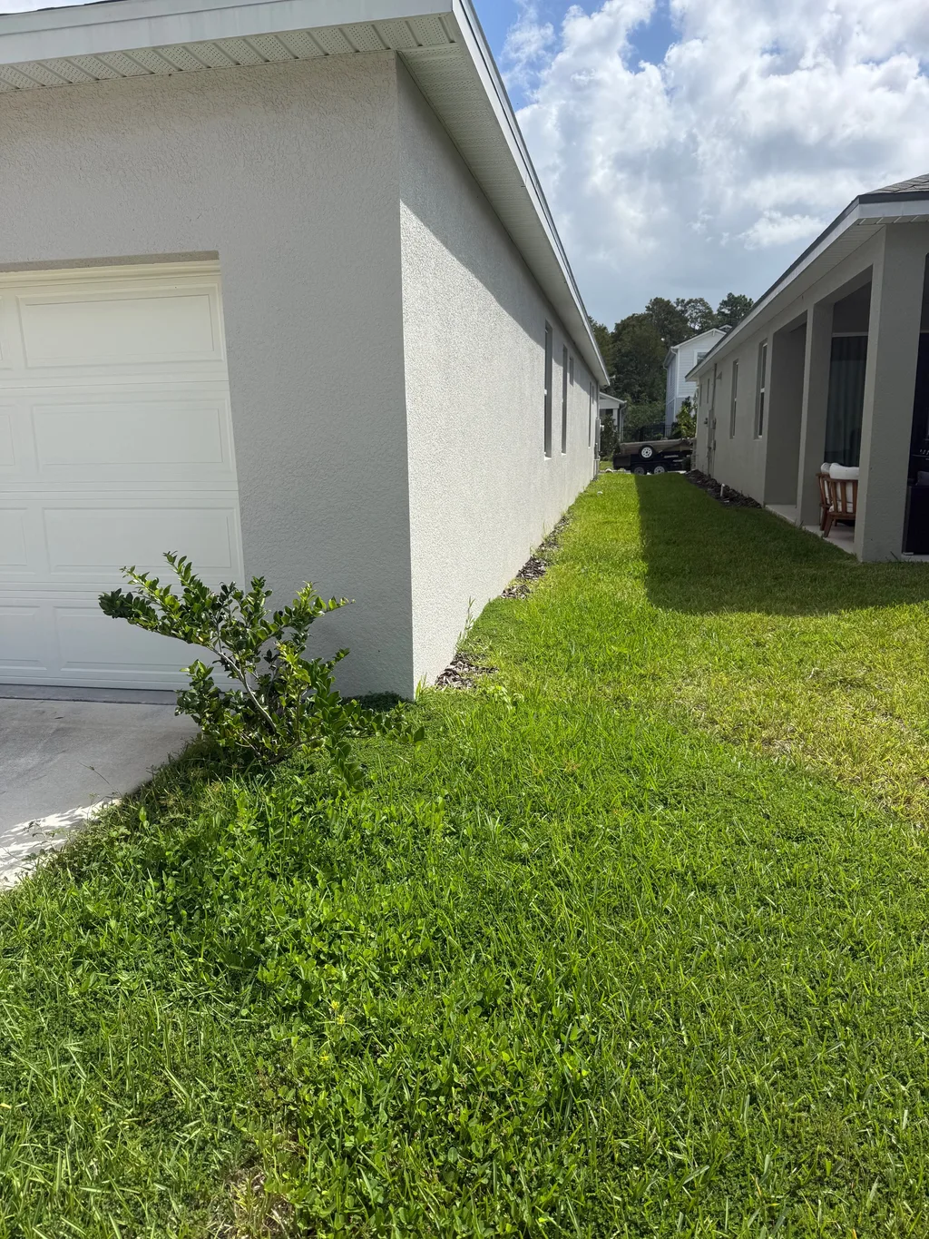 Mowed side lawn with a crisp edge against the wall of a light gray stucco home