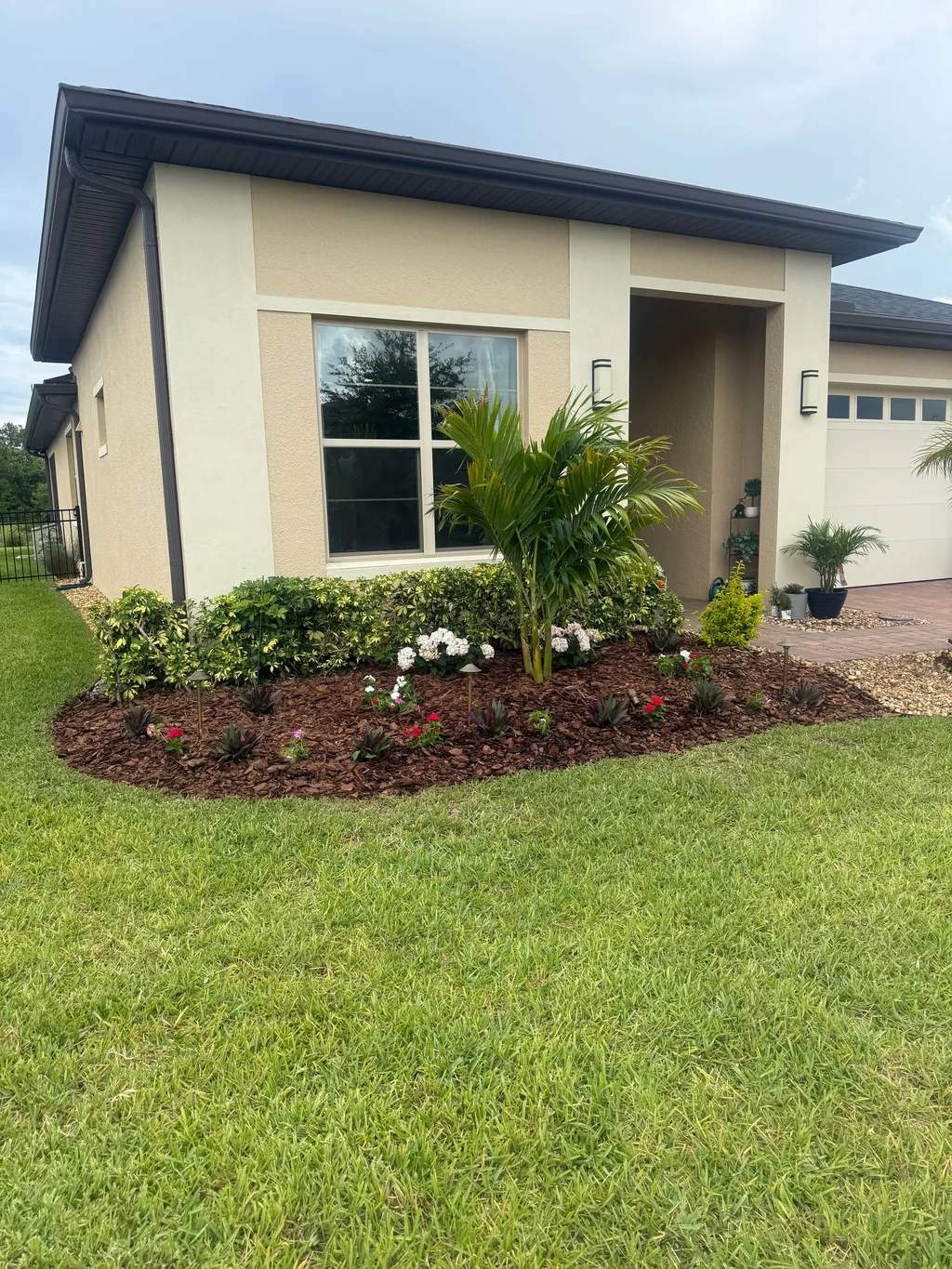 Mulch bed with a young palm, white flowering plants and low spreading groundcover
