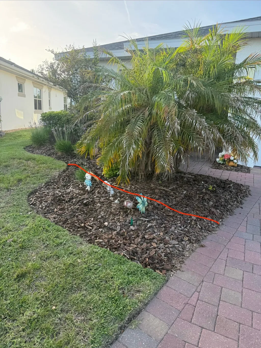 Mulch bed with a mature palm running alongside a paver walkway and cut lawn