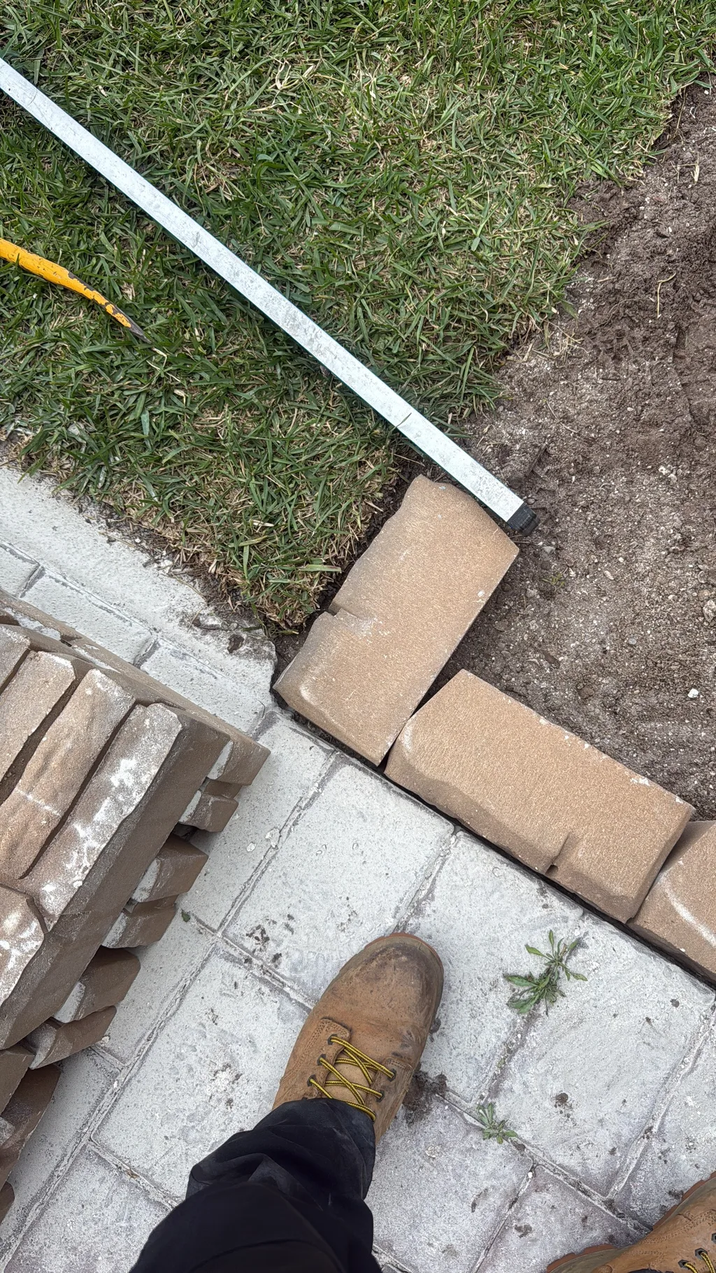 Border pavers lifted and realigned at the corner of a walkway beside a cut lawn
