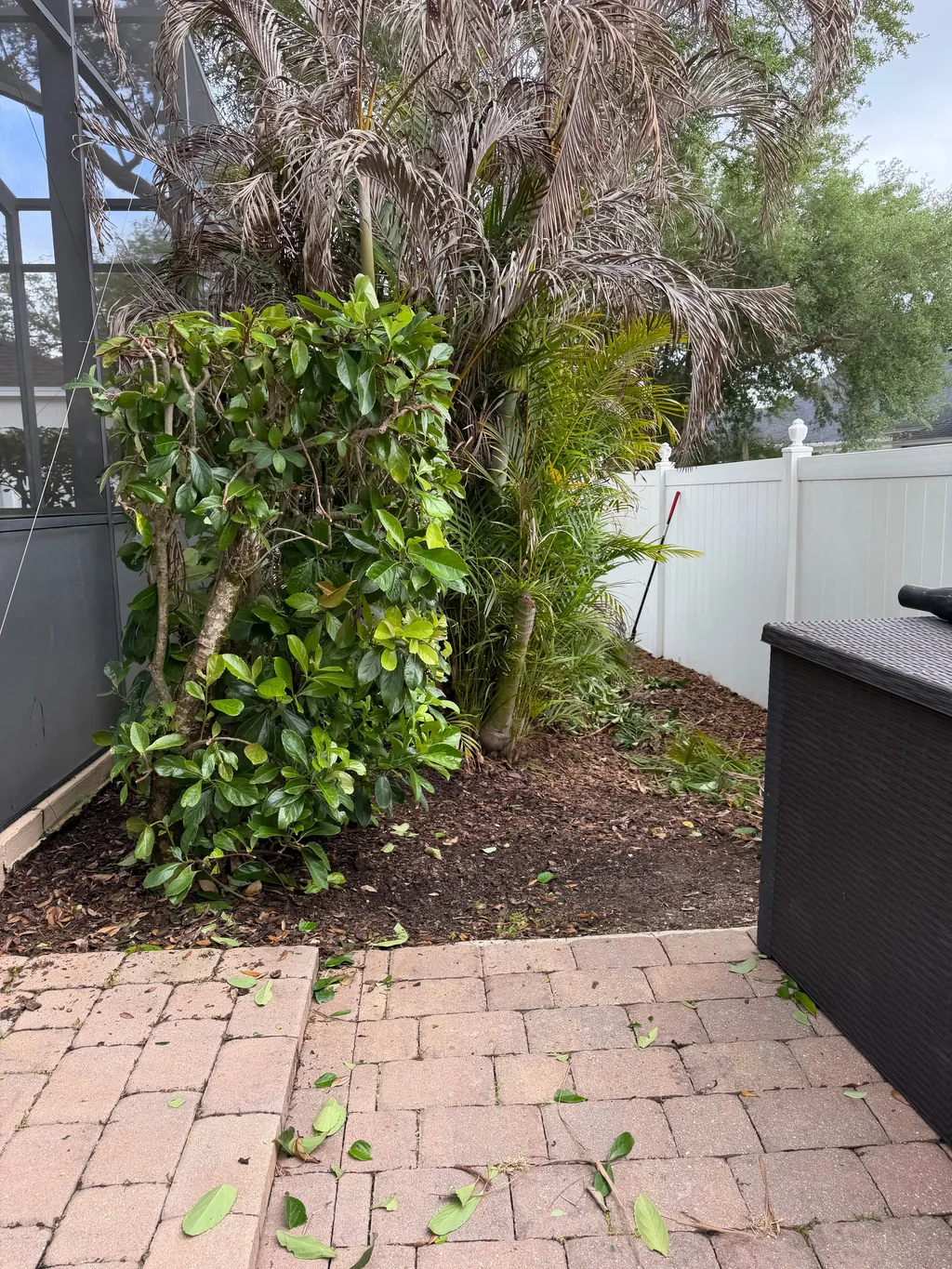 Paver walkway running past a screened enclosure and a planted bed of shrubs