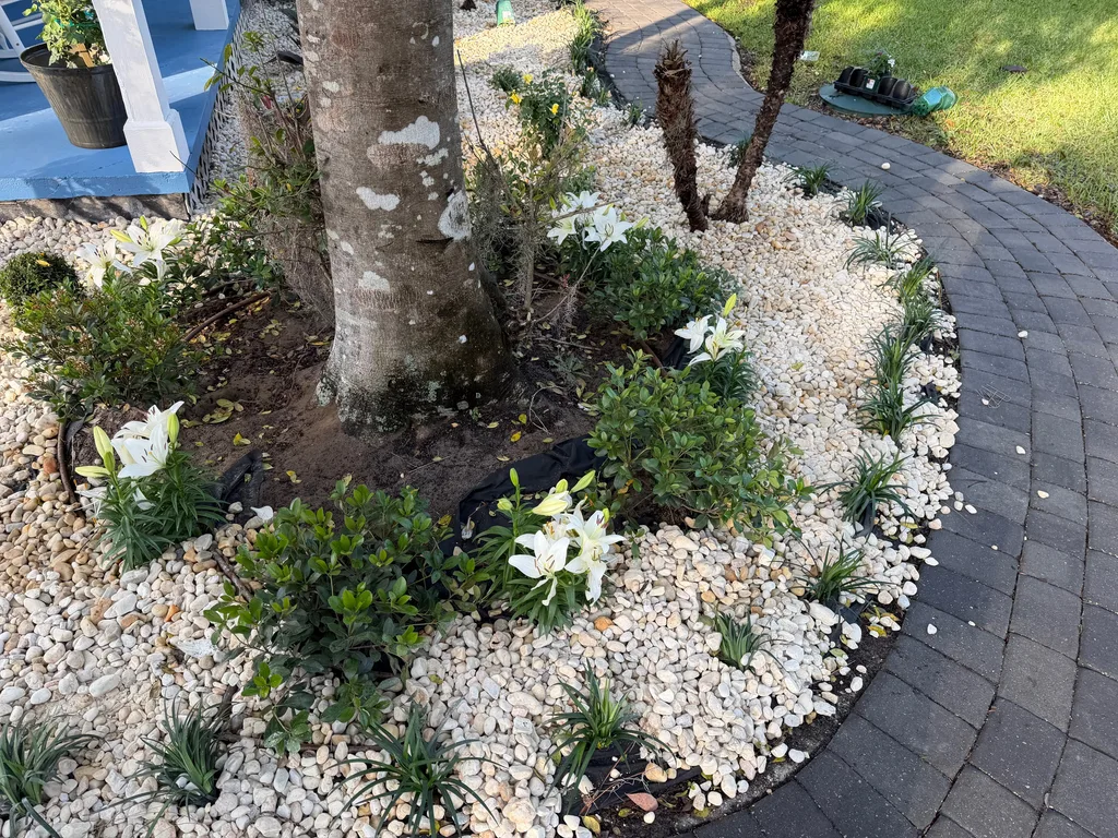 White decorative rock spread around the base of a tree inside a bordered bed