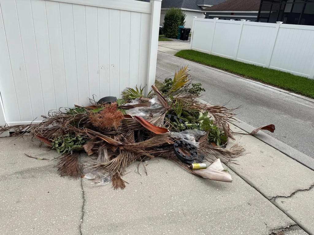 Pile of cut palm fronds and yard trimmings stacked at the curb ready for removal