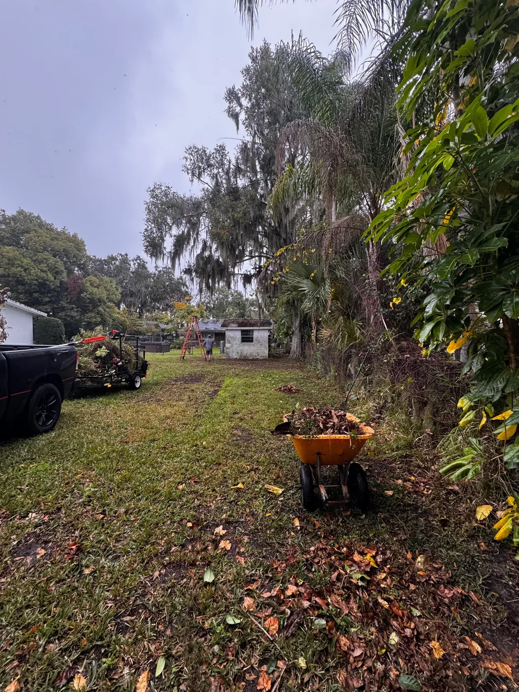 Pickup, trailer and loaded wheelbarrow staged on a shaded lot during a yard cleanup