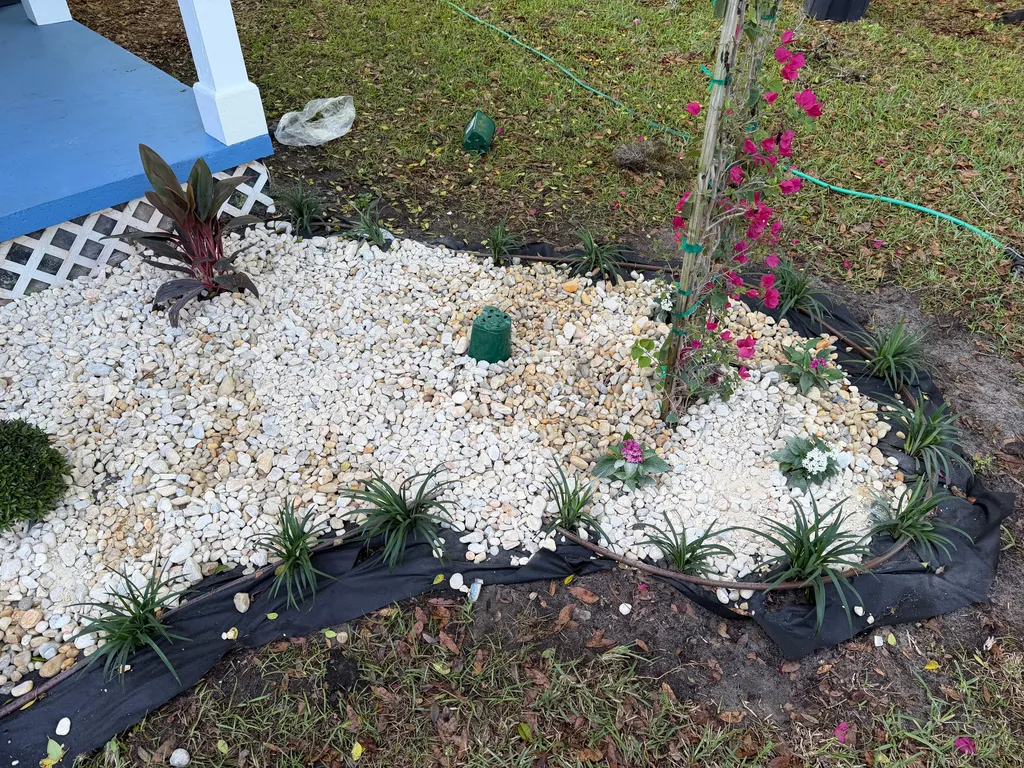 White rock bed with spiky plants and flowering shrubs against a blue painted home