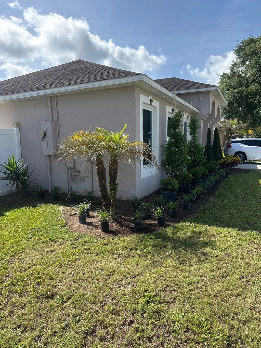 Young palms and potted plants newly set into a mulch bed beside a white stucco wall